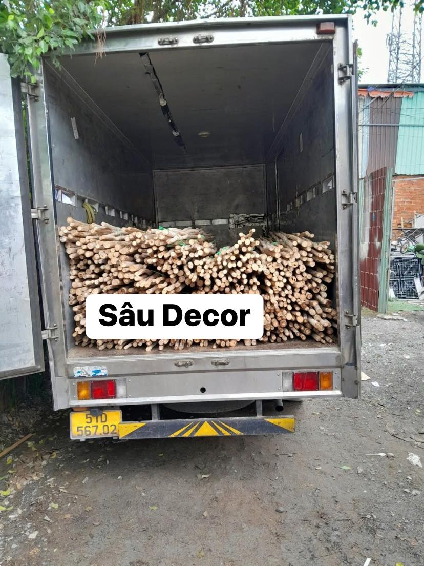 457156161_532054869495783_8197408424083911041_n