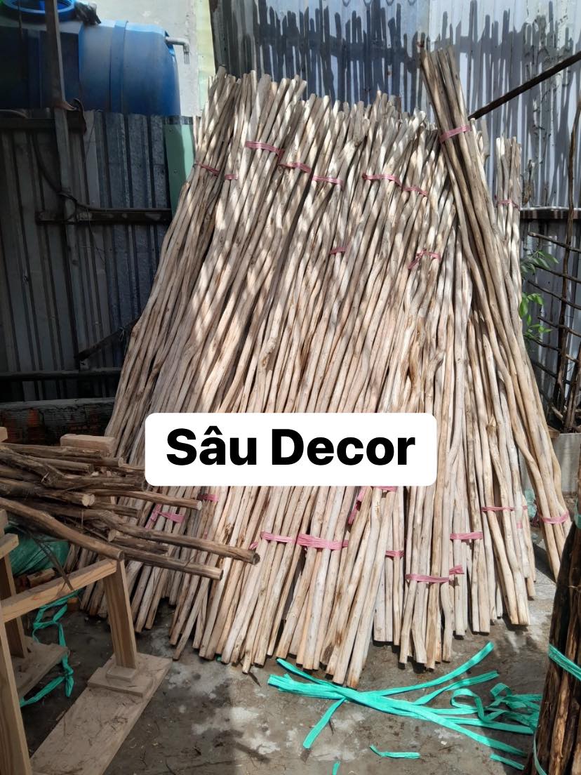 457385317_532055192829084_6932069075232228316_n