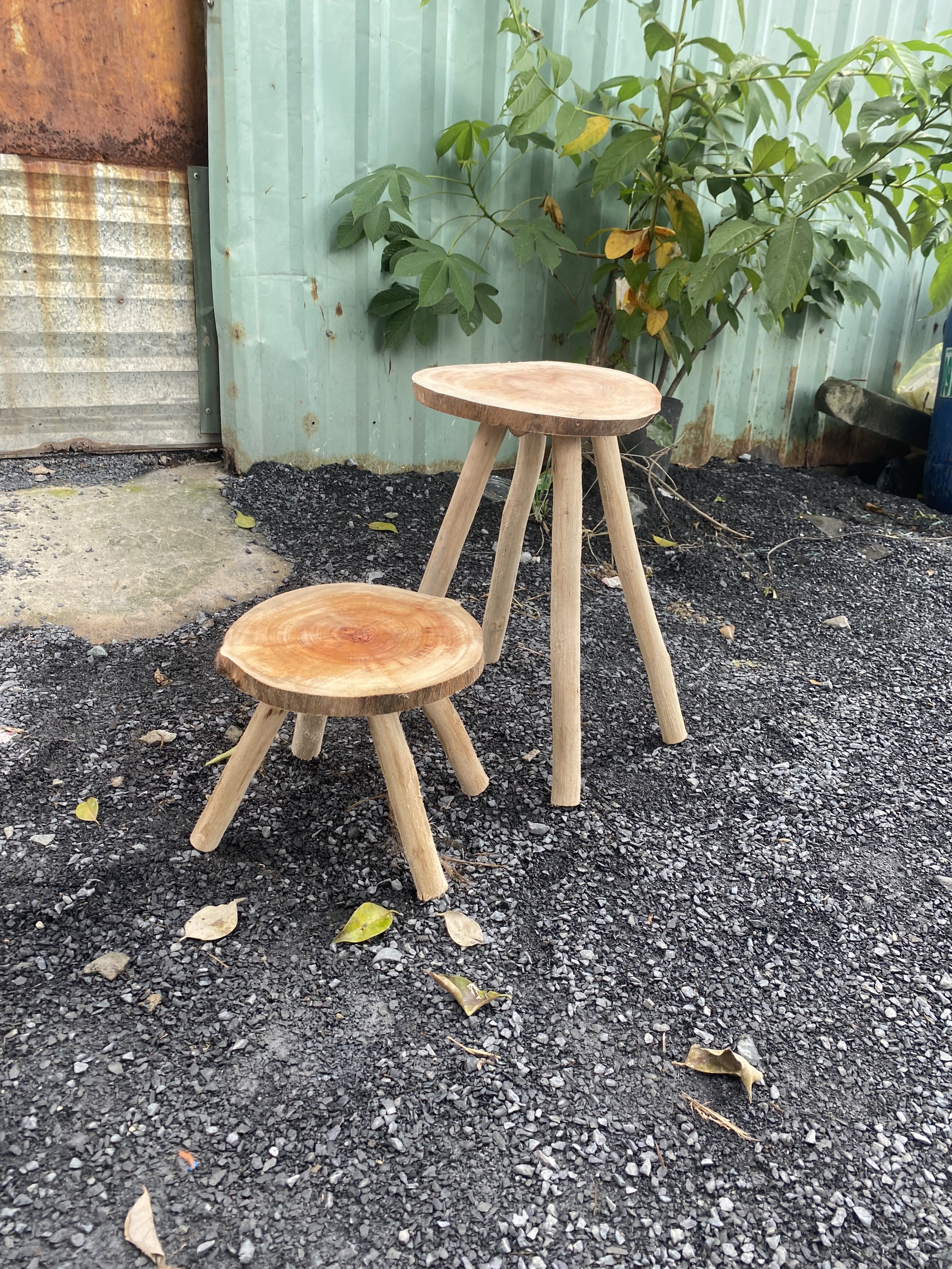 Ghế Gỗ Tự Nhiên Decor, Đôn Gỗ Mặt Thớt Tự Nhiên Trang Trí, Ghế Gỗ Vintage Trang Trí (6)