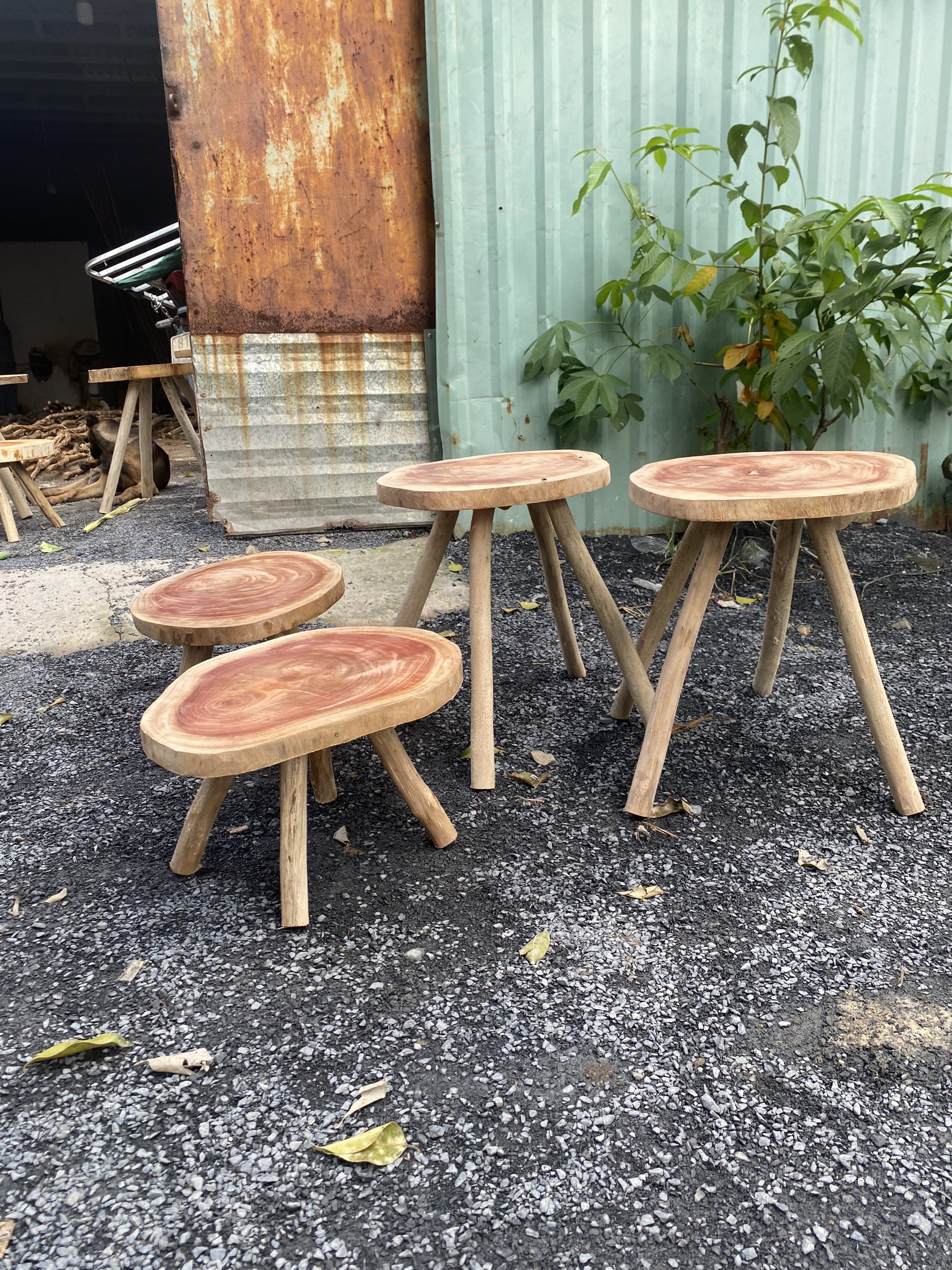 Ghế Gỗ Tự Nhiên Decor, Đôn Gỗ Mặt Thớt Tự Nhiên Trang Trí, Ghế Gỗ Vintage Trang Trí (7)