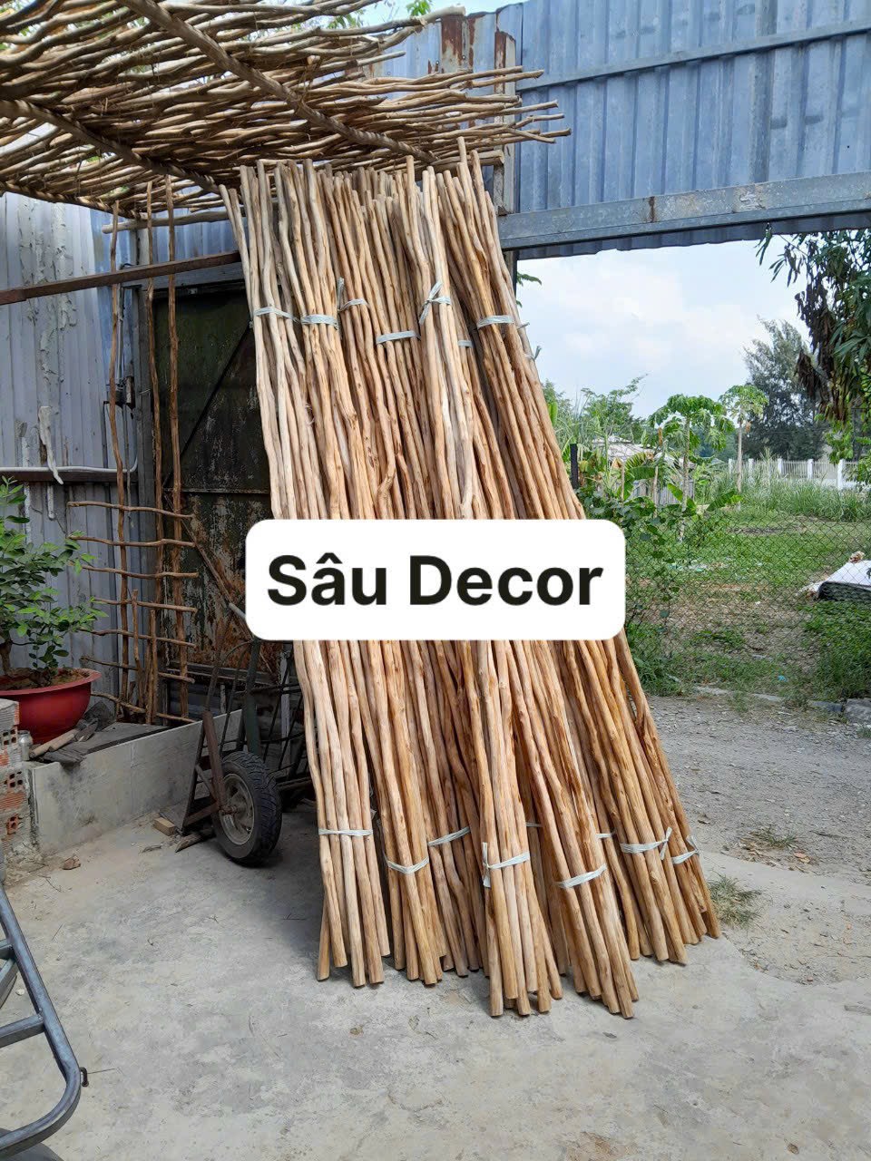 z5808917428376_6fa6f3759fbe4ecfa1c088a1ff2317b3