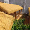 Cuộn Mái Rơm Vàng Nhân Tạo