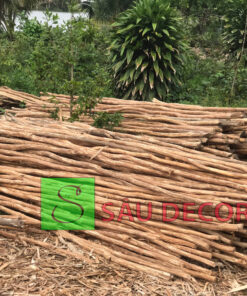 Thanh Gỗ Tự Nhiên Trang Trí ( Chưa Lột Sạch Vỏ)