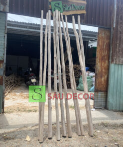 Trụ Gỗ Tự Nhiên Decor Có Đường Kính Lớn Từ 6-8cm