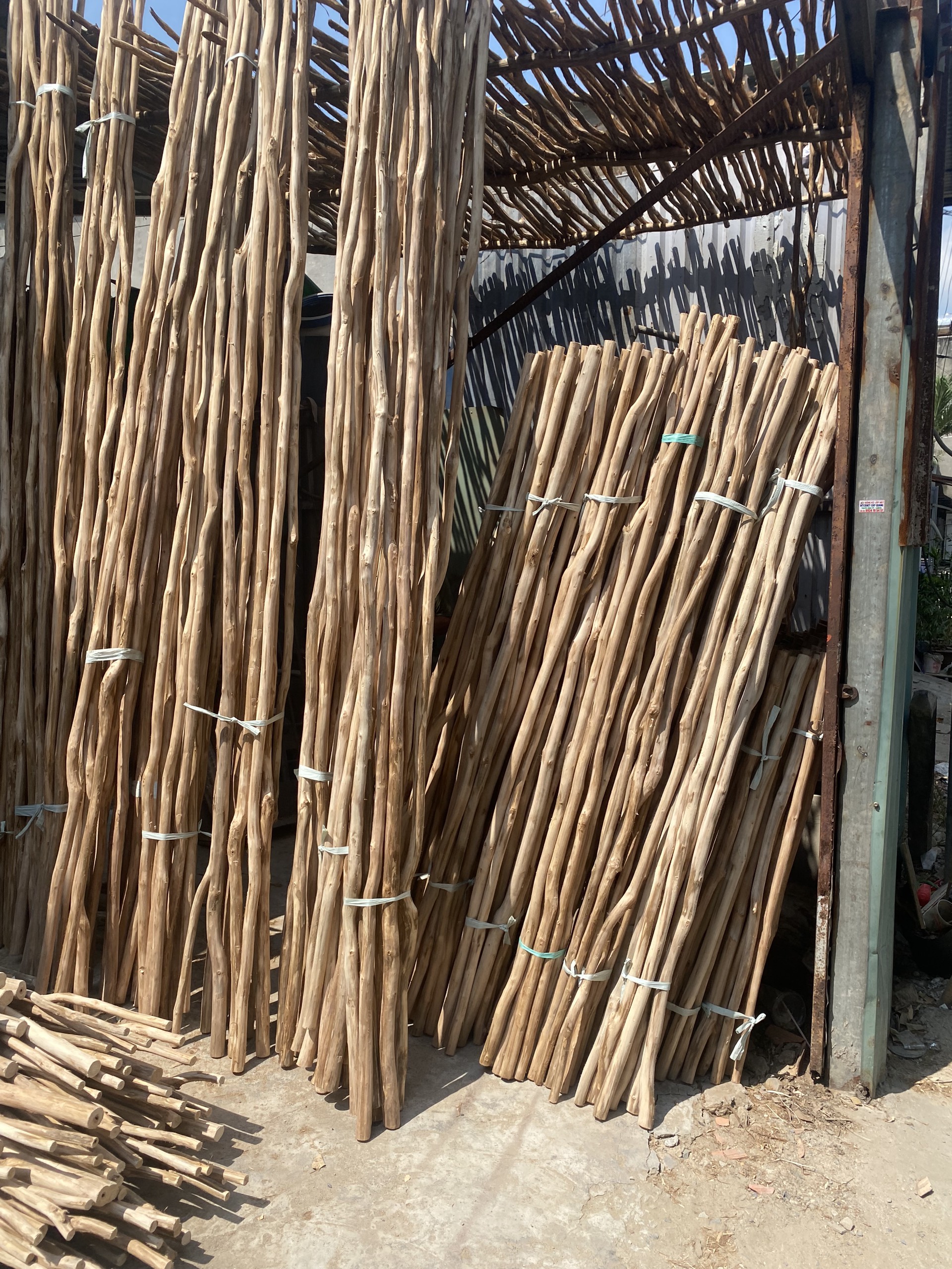 Cây gỗ Khô Trang Trí