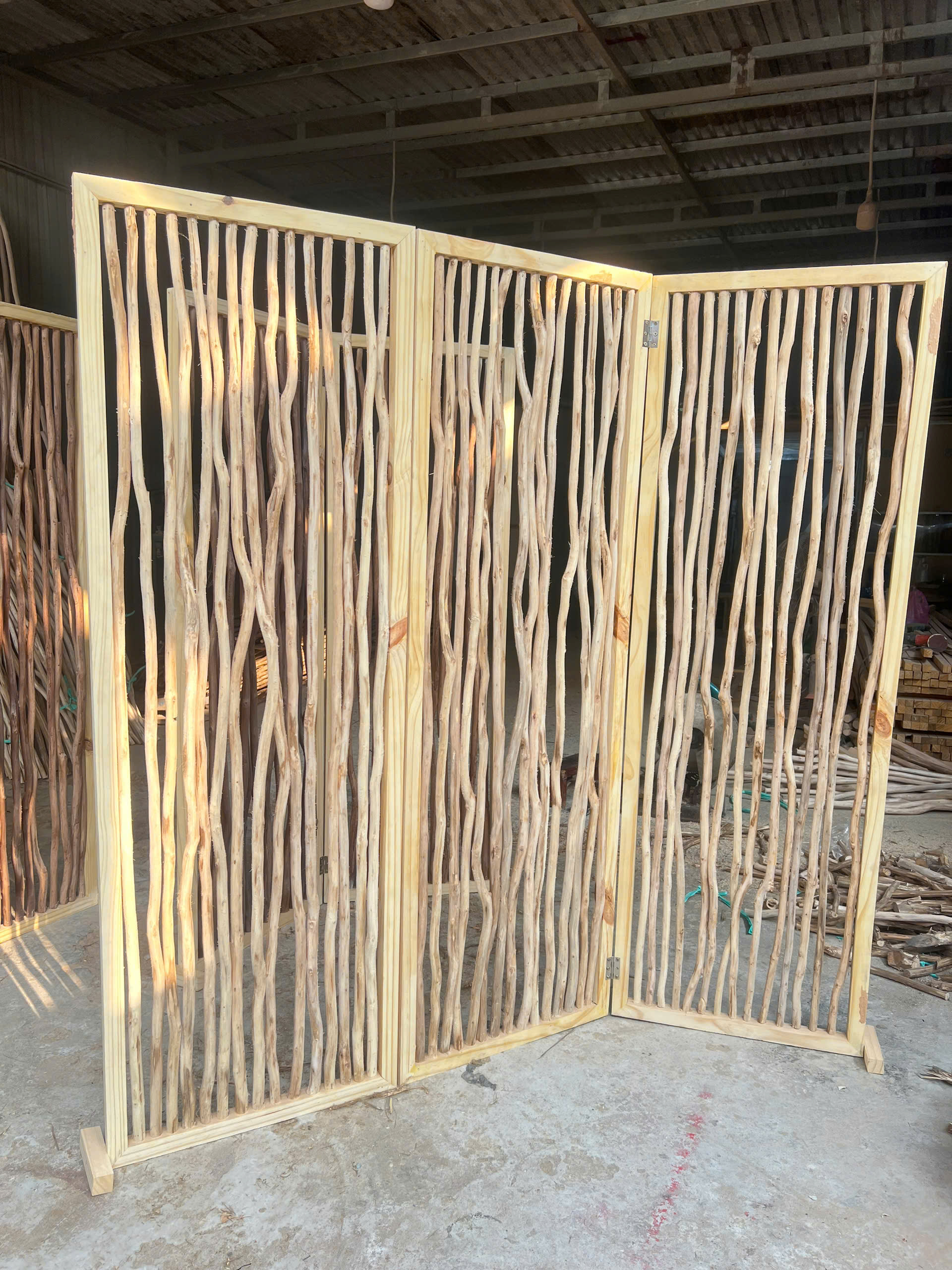 z6452383638859_4c0cbd5bd787efc66bf633aab8fd6baa