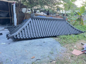 ngói nhựa âm dương