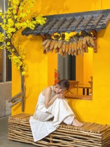 Hình ảnh thi công ngói nhựa âm dương cho mái hiên, mái che cửa sổ, cửa đi